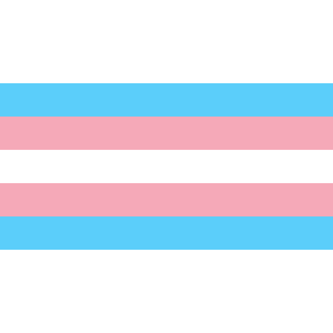 Trans Pride Flag - pridemerch.mom - Team Behinderte im Queer Cities e.V.