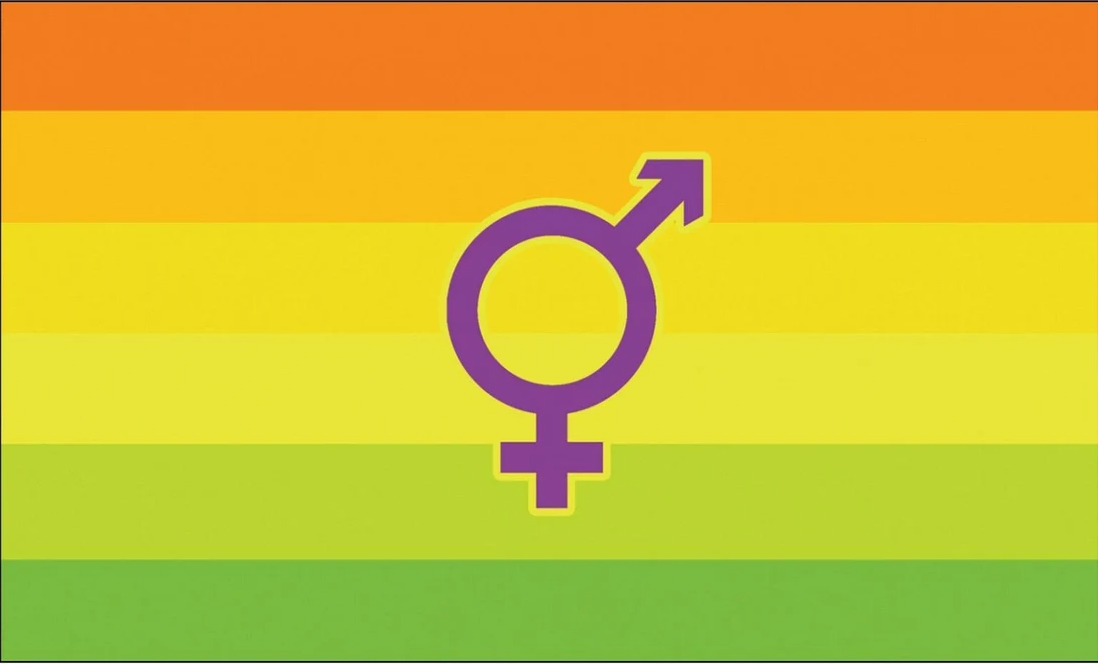 Intersexuelle Pride-Flagge im historischen Hermaphrodit-Design mit sechs horizontalen Streifen von Orange über Gelb bis Grün und einem zentralen violetten Kombinationssymbol aus Mars und Venus.